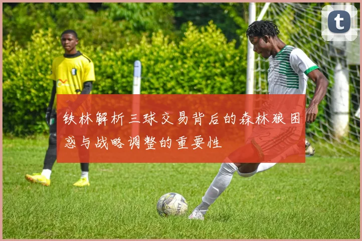 铁林解析三球交易背后的森林狼困惑与战略调整的重要性