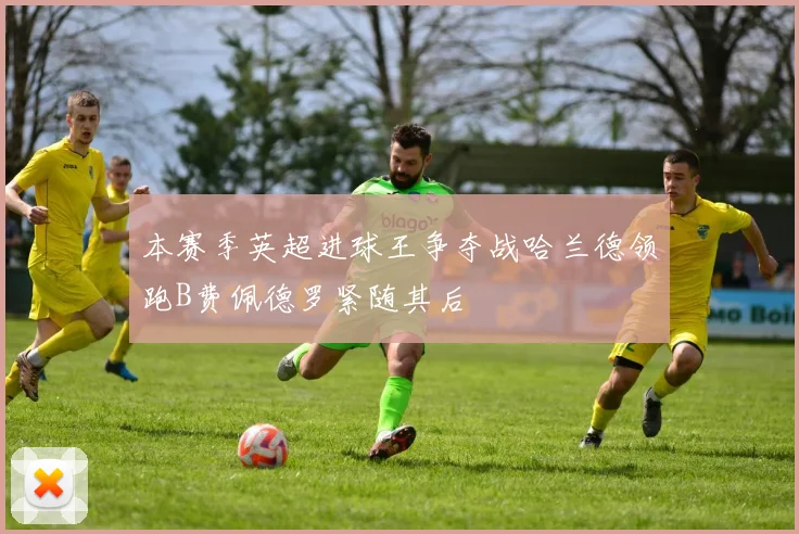 本赛季英超进球王争夺战哈兰德领跑B费佩德罗紧随其后